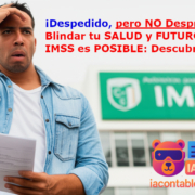 mantener derechos imss baja despedido