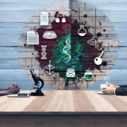 Los delitos en contratos: claves legales y ejemplos prácticos