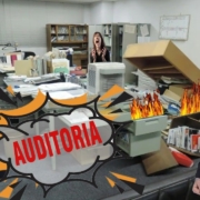 chin me cayo una auditoria o una