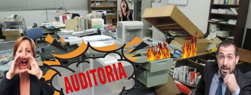 chin me cayo una auditoria o una